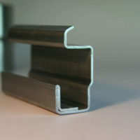 rail-portiere-laterale-1